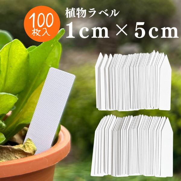 haoa 100枚 植物ラベル 家庭菜園 防水 園芸用ラベル 園芸ラベル 盆栽ラベル 花ラベル 可愛い 苗タグ  植物の管理 タグ ホワイト Sサイズ 1cm*5cm