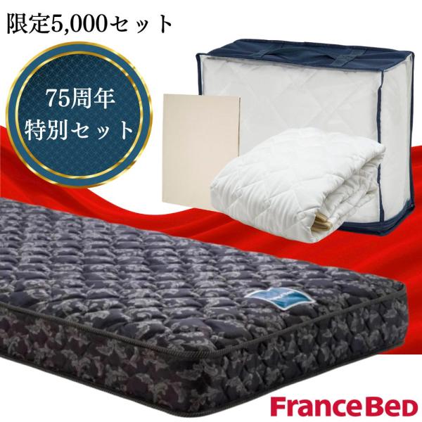 【送料込】フランスベッド マットレス シングル フランスベッド FranceBed マットレス シングル 高密度連続