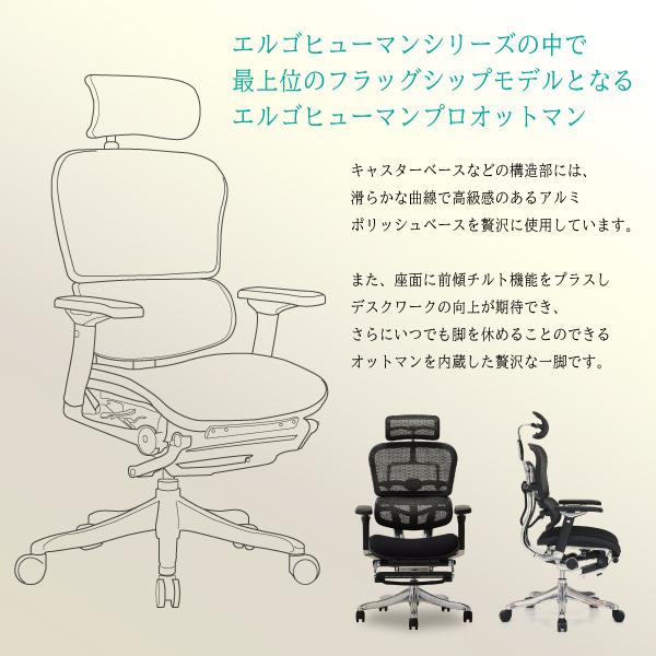 Ergohuman Pro ottoman エルゴヒューマン プロ オットマン 内臓モデル EHP-LPL CPL オフィスチェア パソコン ハイタイプ 人気 おしゃれ メッシュモデル 正規品 /【Buyee】 Ergohuman Pro ottoman エルゴヒューマン プロ オットマン 内臓モデル EHP-LPL CPL オフィスチェア パソコン ハイタイプ 人気 おしゃれ メッシュモデル 正規品 /【Buyee】