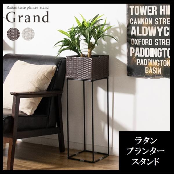 v^[X^h PS-220 ^ Grand O AؔX^h  22 X RpNg nCX^h ϗtA  ԑ   [ _