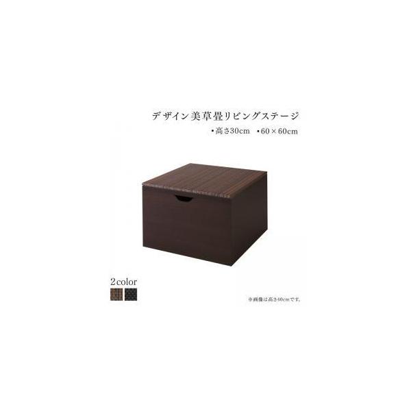 Y [tfUC􃊃rOXe[W z t[ {bNX[ 60×60cm [^Cv 30cm