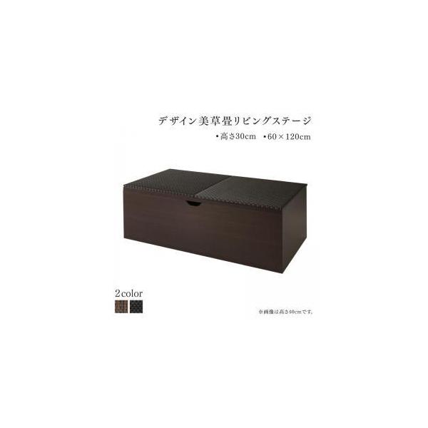 Y [tfUC􃊃rOXe[W z t[ {bNX[ 120×60cm [^Cv 30cm