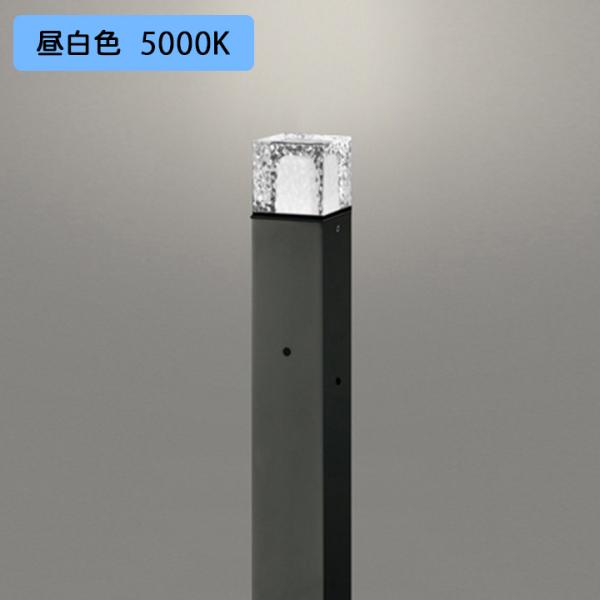 yOG254881NRzI[fbN GNXeA K[fCg LED F s ÃZT[t R[htȂ ODELIC