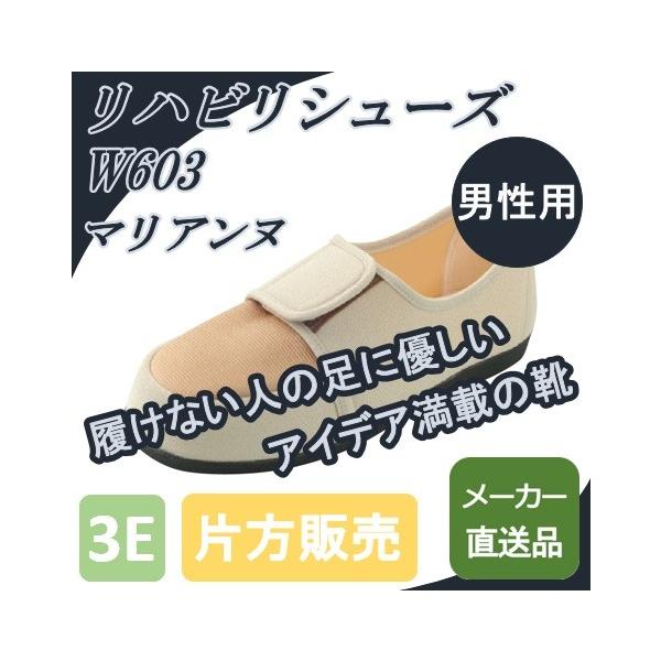 nrV[Y Y GM603 }Ak E}`  V[Y jp am nr Е̔ [J[i