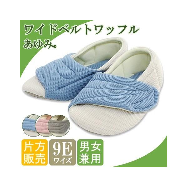  Chxgbt 9E 2229@Е̔ ݃V[Y  Y