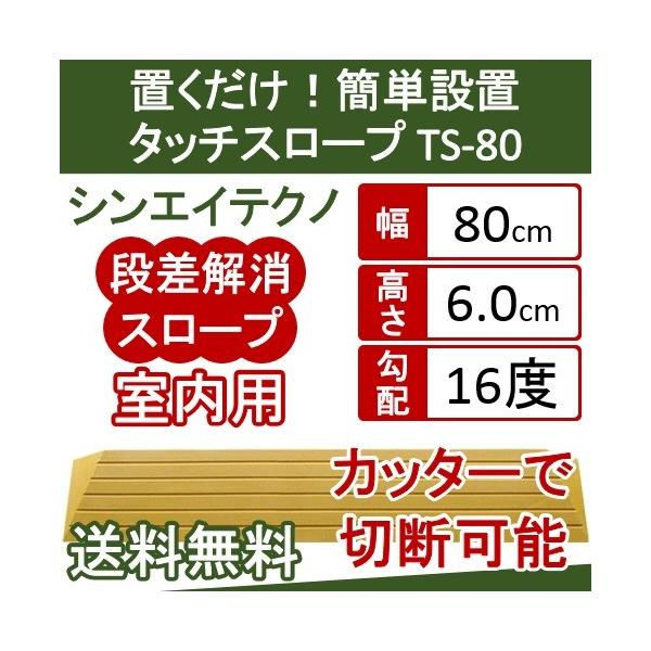 iX[v AEVA VGCeNm i  X[v@^b`X[v TS80-60 6.0cm TS-80V[Yi80cmj 