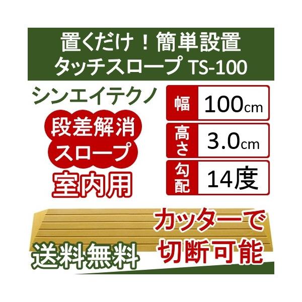 iX[v AEVA VGCeNm i  X[v@^b`X[v TS100-30 3.0cm TS-100V[Yi100cmj