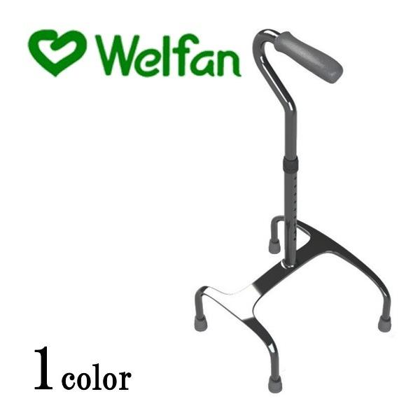  4_ XebL y J[{ _ ߁[ Light@