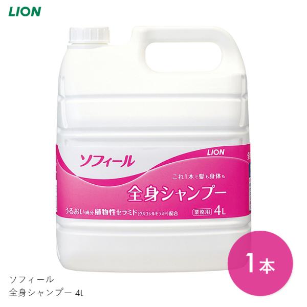 {fB[\[v  t {fBPA PA SgVv[ Z~h \tB[ SgVv[ 4L@