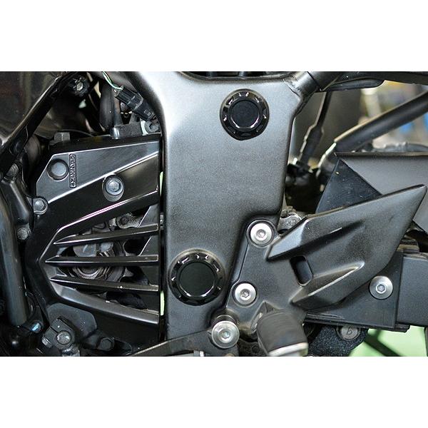 NINJA250R　10’〜12’　フレームホールプラグ　ブラック