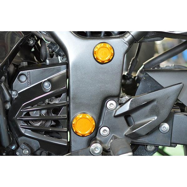 NINJA250R　10’〜12’　フレームホールプラグ　ゴールド