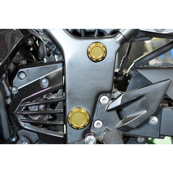 NINJA250R　10’〜12’　フレームホールプラグ　ディープゴールド