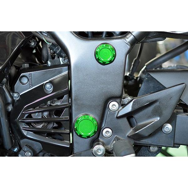 NINJA250R　10’〜12'　フレームホールプラグ　グリーン