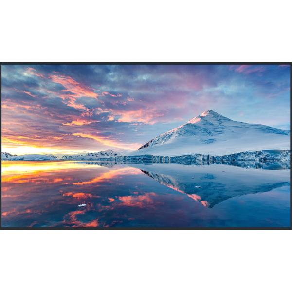 パナソニック(家電) 50型4K液晶エントリーディスプレイ 目安在庫=○
