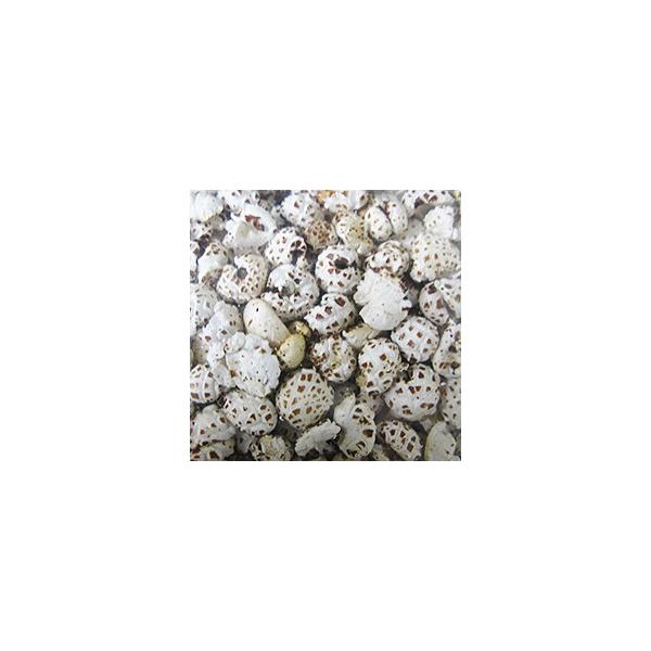 ͂ƂނH[ X̖IXY͂Ƃނ(ݗ)  ͂Ƃނǂ 70g Yi