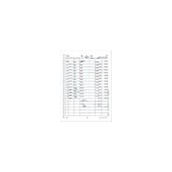 弥生 弥生 A4元帳ページプリンタ用紙3行明細 334002 1000枚 (帳簿