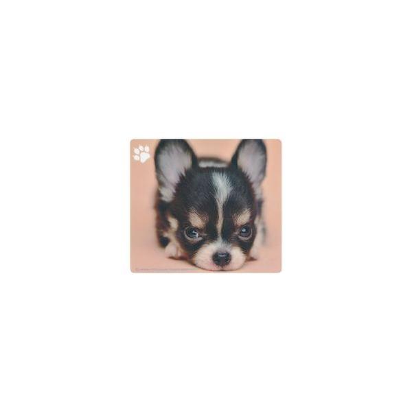 TTvC }EXpbh(`) MPD-215C [J[݌ɕi