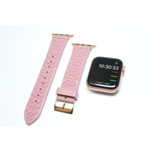 Apple Watch SE（第1世代）GPS/40mm/A2351〈MYDN2/A〉(5) : 中古