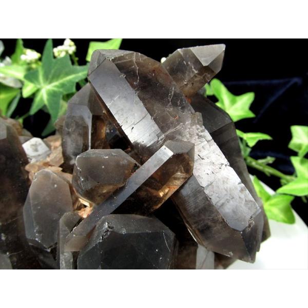 ダブルポイント結晶有り 天然 黒水晶 モリオン クラスター原石