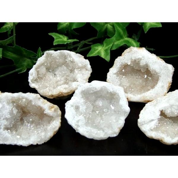 セット売り キラキラ 天然タイプ ちびジオード 昌洞 ハーフカット 約