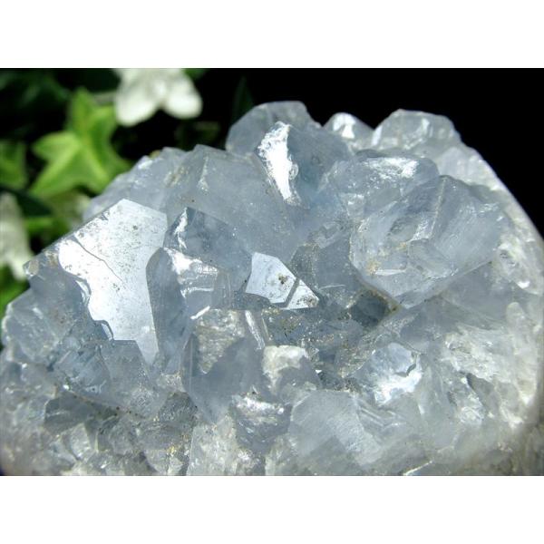 comrose_ge-400284-s_1_d_20260127084051