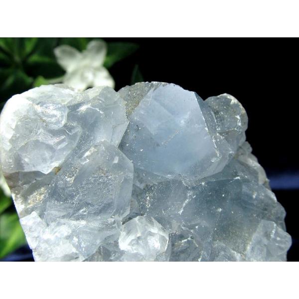 comrose_ge-400284-s_2_d_20260127084030