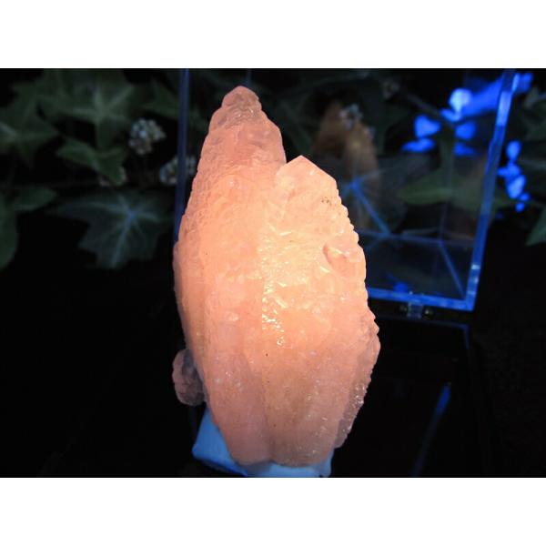 開運 大人気の妖艶なピンク色発光 蛍光ピンクカルサイト 原石