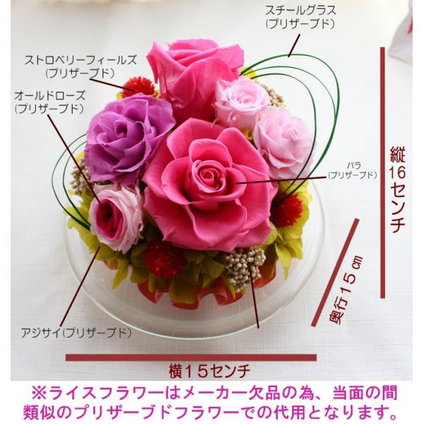ラウンドドーム プリザーブドフラワー メッセージローズ 誕生日プレゼント 送別 退職祝い メッセージフラワー 結婚祝い 引っ越し祝い クリスマス ギフト Buyee Buyee Japanischer Proxy Service Kaufen Sie Aus Japan