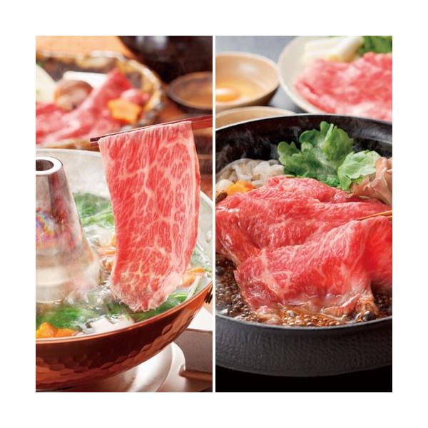 ㋍Ă &amp; Ԃԋl US40-MC40-200MA ʏ s Ԃ Mtg 2025 v[g Ԃ Ε Ε ăMtg