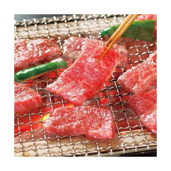 ㋍oēp 500g MBY50-120MA ʏ s Ԃ Mtg 2025 v[g Ԃ Ε Ε ăMtg