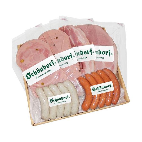 SCHOENDORF VF[ht in \[Z[W &amp; x[R VRl߃Zbg SDC-501 Ԃ j j o j Mtg Mtg