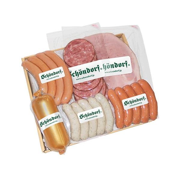 SCHOENDORFiVF[htEinj \[Z[WnVRlZbgSDC-502 Ԃ Mtg 2025 v[g Ԃ Ε Ε ăMtg