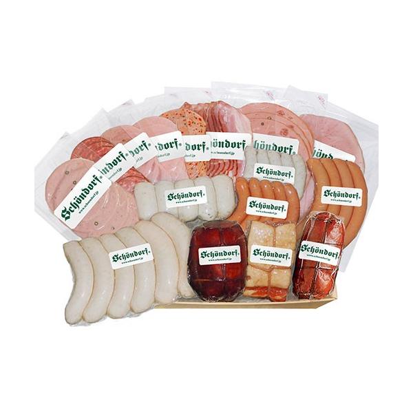 SCHOENDORF VF[ht in p[eBZbgSDC-1501 s Ԃ j j o  oYj j oYj Mtg