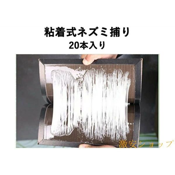 粘着式ネズミ捕り プロシートA 1箱 20枚入 耐水性シート 粘着板ゾンチーネズミ退治 人気 注目 売れ筋 定番 快適 便利 実用的 おすすめ 使いやすい おしゃれ