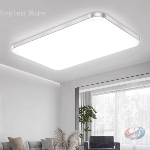 LEDシーリングライト 長方形 薄型 ゾンチー 6-12畳対応で調光調温もしやすい シンプルな天井照明として使いやすい一台