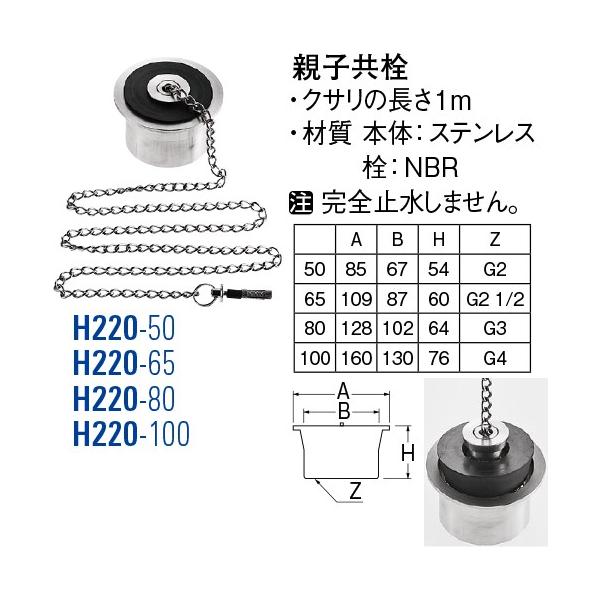 eq H220-50[30711159] SANEI Oh𐻍쏊