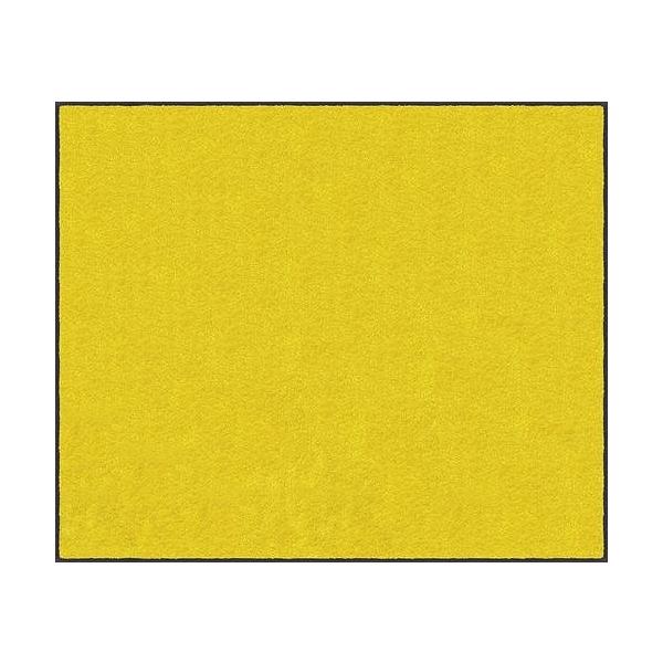 �}�b�g �X�^���_�[�h�}�b�gS  �C�G���[ 90 × 150 cm [AM00077] �N���[���e�b�N�X ���[�J�[����