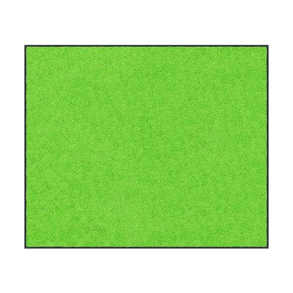 }bg X^_[h}bgS  CEO[ 90 × 180 cm [AM00588] N[ebNX [J[