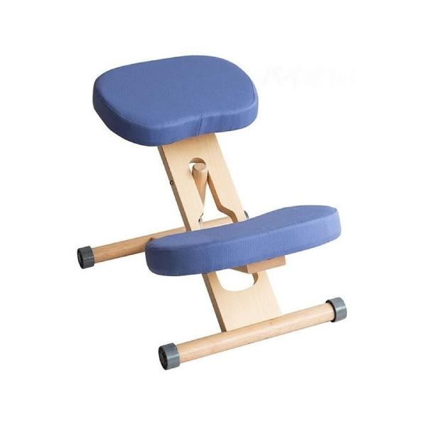 プロポーションチェア ライトナチュラル脚バイオレット 組立式 キャスター付き 補助クッション別売 [613088243] CH-N88W-NTVI 宮武製作所 メーカー直送