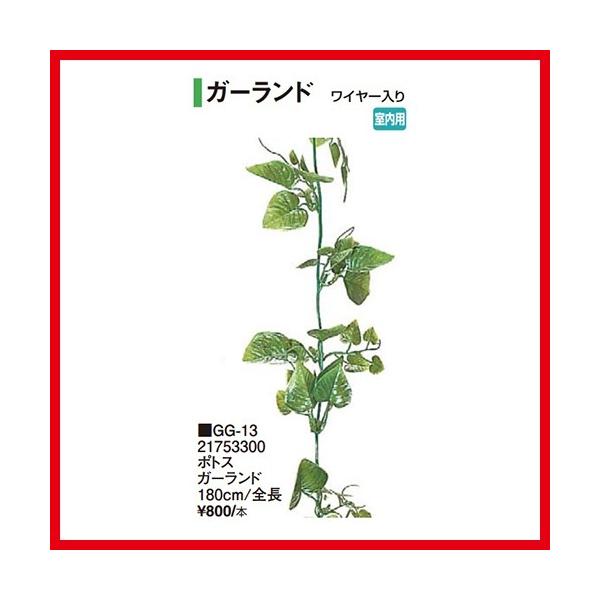 |gXK[h [GG-13] S180cm ^JV[ Takasho[J[ @ll