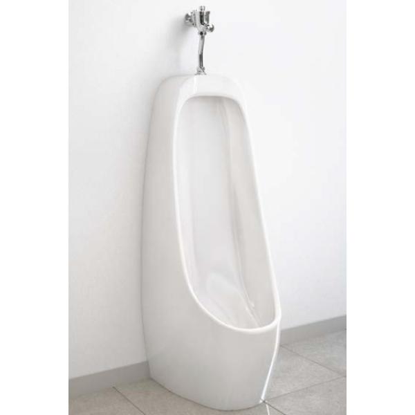 gC ATqq ȈՐ֊ [VQA001W] [J[