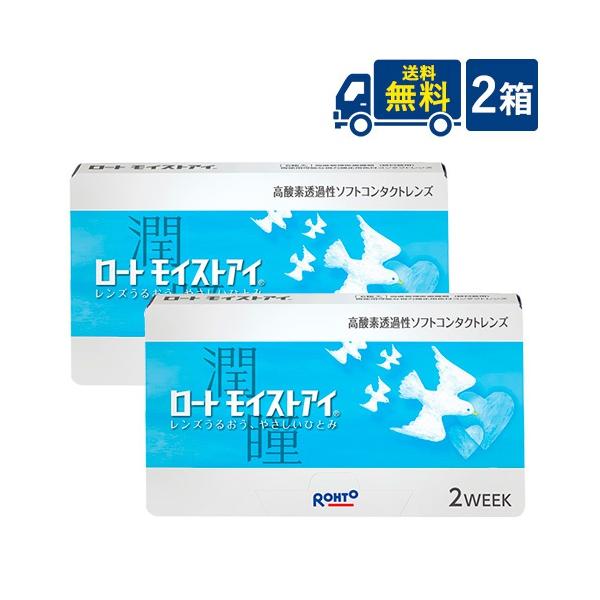 ロート モイストアイ 2箱セット 2week 送料無料 コンタクトレンズ