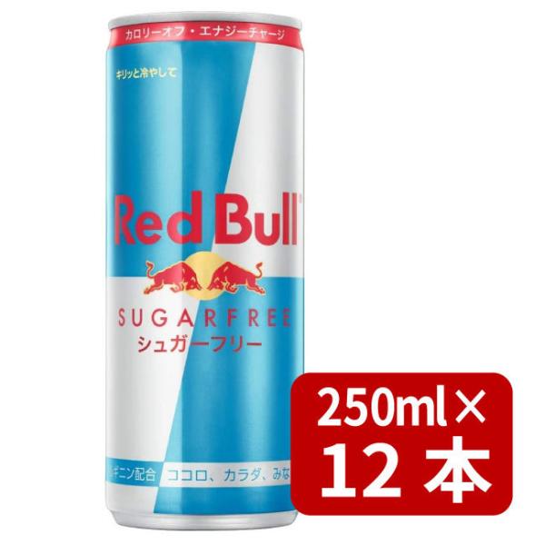 炭酸飲料 エナジードリンク レッドブル 12本の人気商品・通販・価格