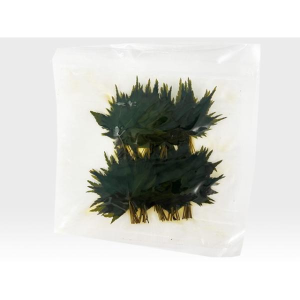 塩漬け紅葉　グリーン　100枚入　飾葉飾葉として※食用ではございません商品詳細＜商品名＞紅葉(真空パック)グリーン＜原材料名＞紅葉・食塩・ミョウバン・酸化防止剤(ビタミンC)＜内容量＞100枚＜品質保証期間＞出荷日より6ヵ月＜保存方法＞常温...