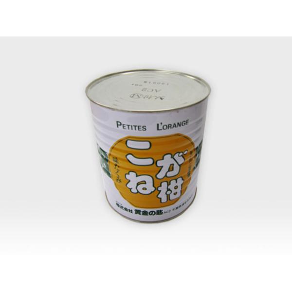 conuts-fruits_zrxdxf8972