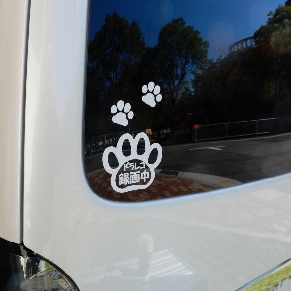 【送料無料】ドラレコ 煽り運転抑制 肉球 録画中 セキュリティ 足跡 犬 猫 カー用品 カーアクセサリー 自動車 カッティング 文字だけが残る 11色