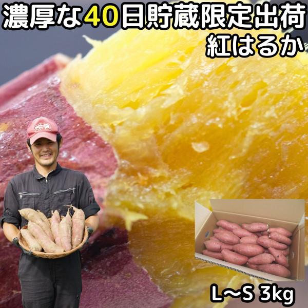 ひーページになります紅はるか上物Sサイズ３箱 ひー様専用ページになります紅はるか上物Sサイズ3箱