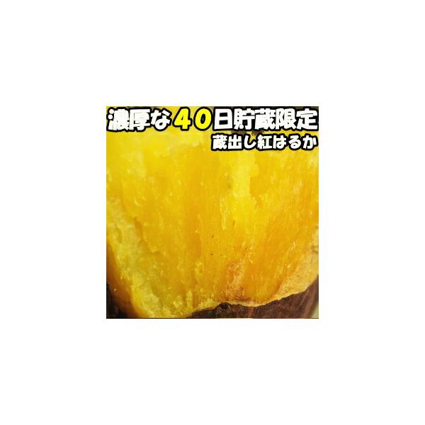★美味しさが劇的に変わる40日貯蔵の蔵出し熟成紅はるか限定出荷★濃厚な甘さねっとり感が美味しいです★熟成した紅はるかは、蜜が出てきて果肉が濃い黄色となり食欲をそそります。★昔ながらの蔵で安定の長期貯蔵 デンプン質が糖に変わり美味です。★出荷...