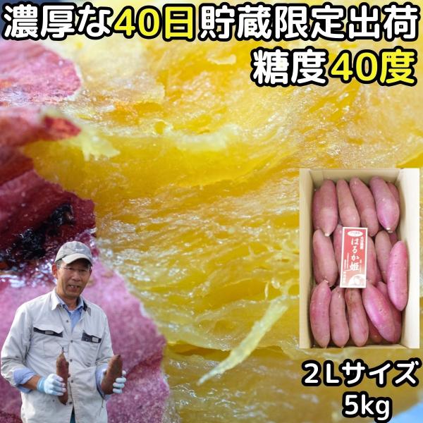 ★美味しさが劇的に変わる40日貯蔵の蔵出し熟成紅はるか限定出荷★濃厚な甘さとしっとりねっとり感が美味しいです★熟成した紅はるかは、蜜が出てきて果肉が濃い黄色となり食欲をそそります。★最新設備の蔵で安定の長期貯蔵 デンプン質が糖に変わり美味で...