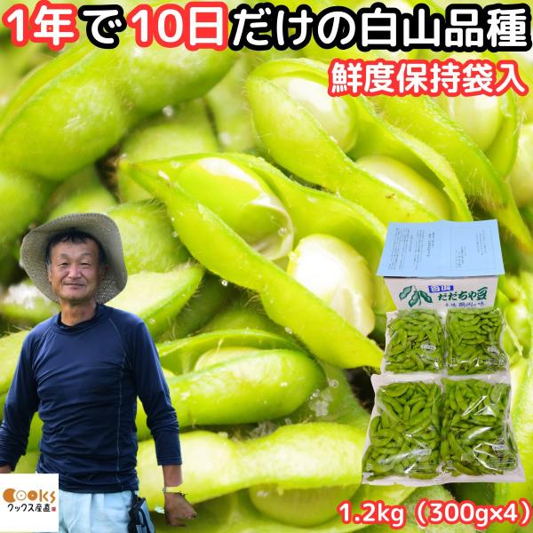 枝豆 だだちゃ豆 白山 山形 鶴岡 1.2kg 300g×4袋 美味しい 一年に10日